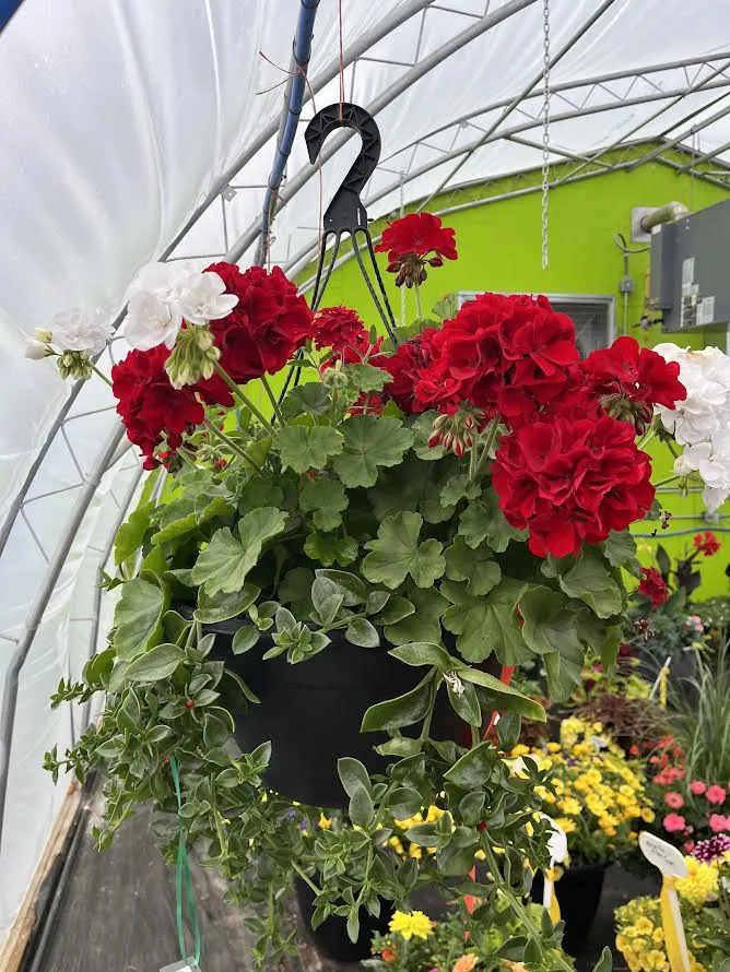 planter